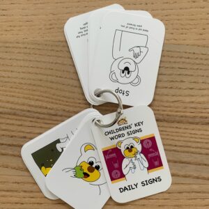 Daily signs lanyard set - mini flashcards