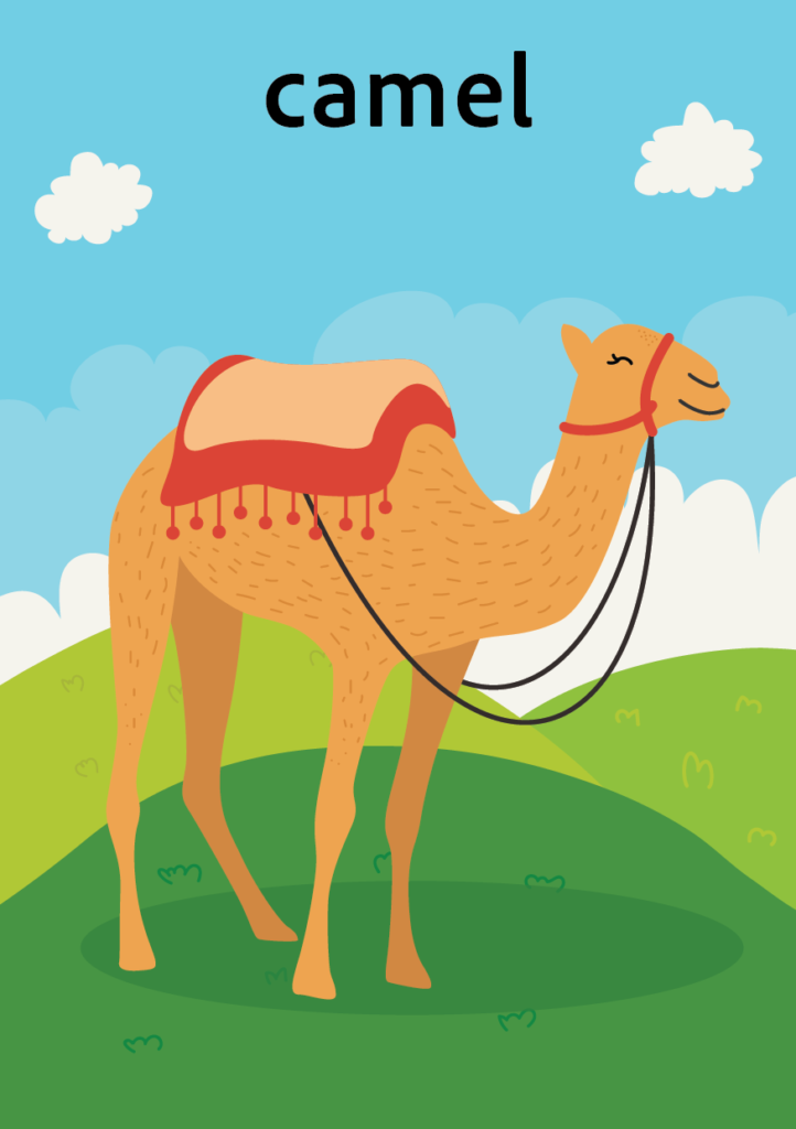 picture of camel